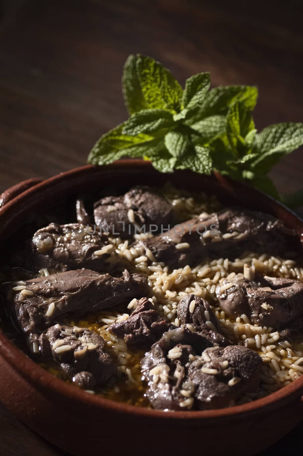 Real food photographed on location in traditional portuguese restaurants, hare cooked on red wine with rice - arroz de lebre - Alentejo, Portugal