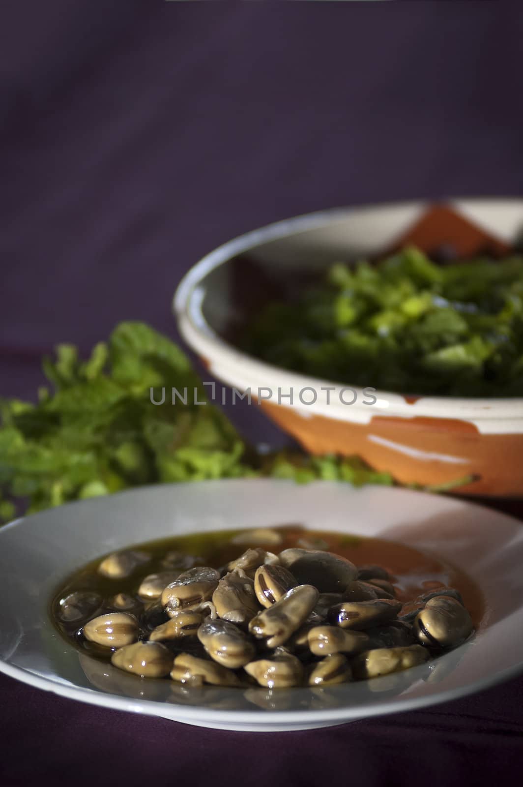 Real food photographed on location in traditional portuguese restaurants, broad beans soup - sopa de favas - Alentejo, Portugal