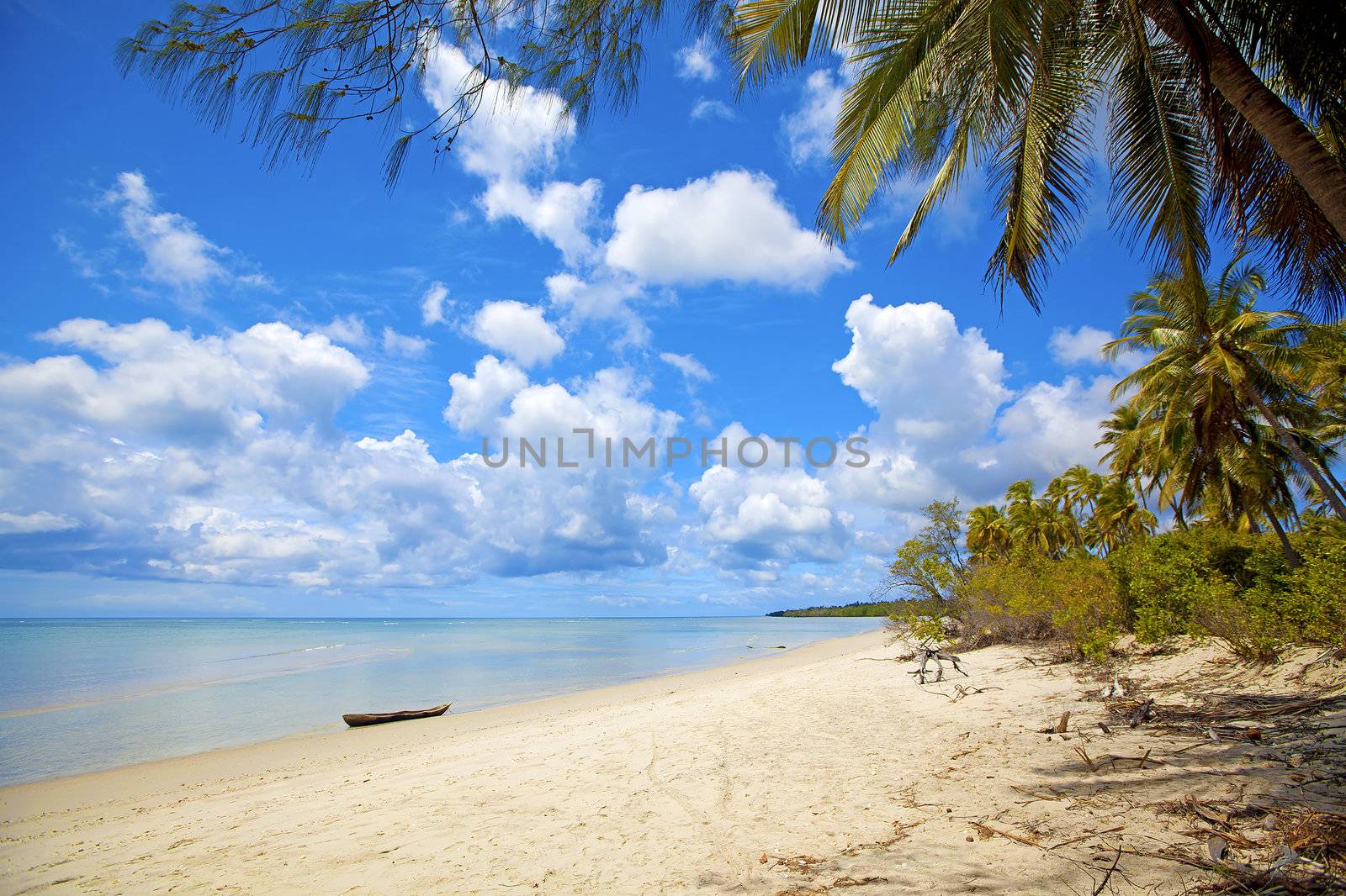 Untouched nature at Mafia Island in Tanzania