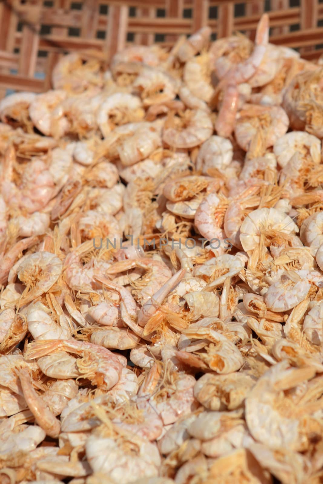 Dry seafood. Tai O fish market. Hong Kong.  by cozyta