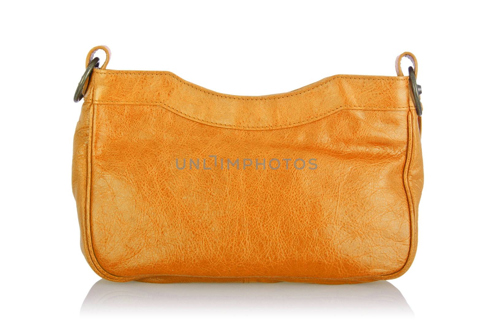 Elegant woman bag isolated on white