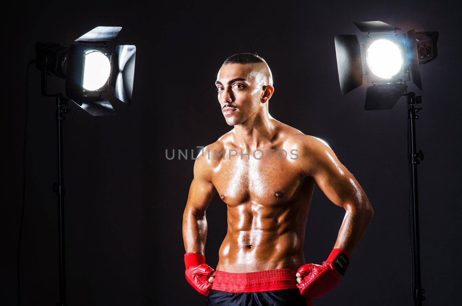 Boxer and studio lights by Elnur