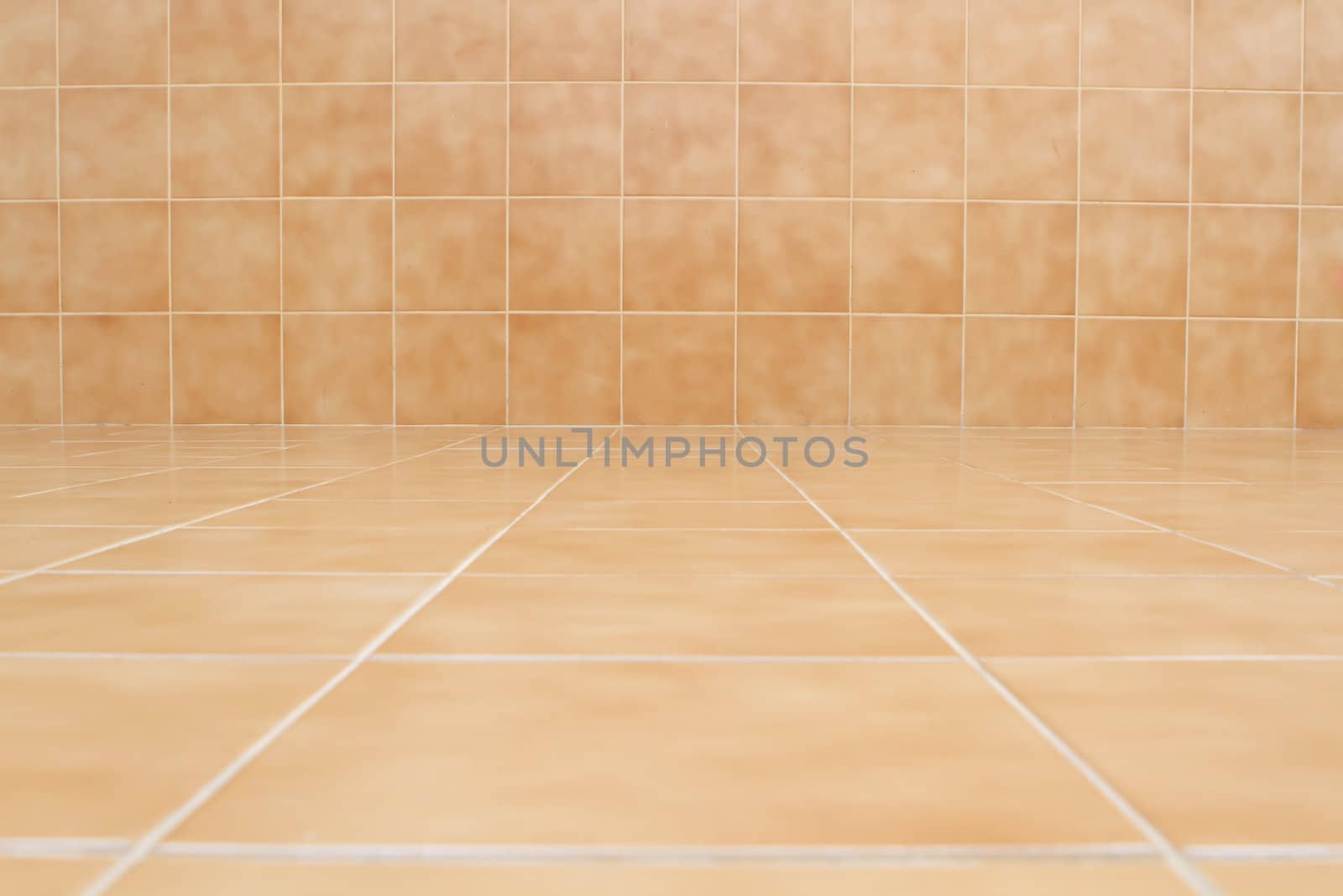 glossy ornamental stone tiled wall and floor in spacious bath ro by rufous