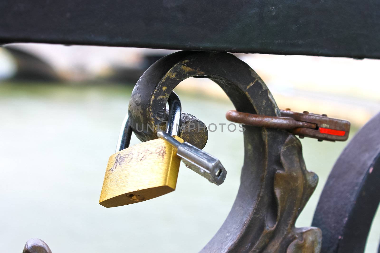 Locks of love in Paris. France by NickNick