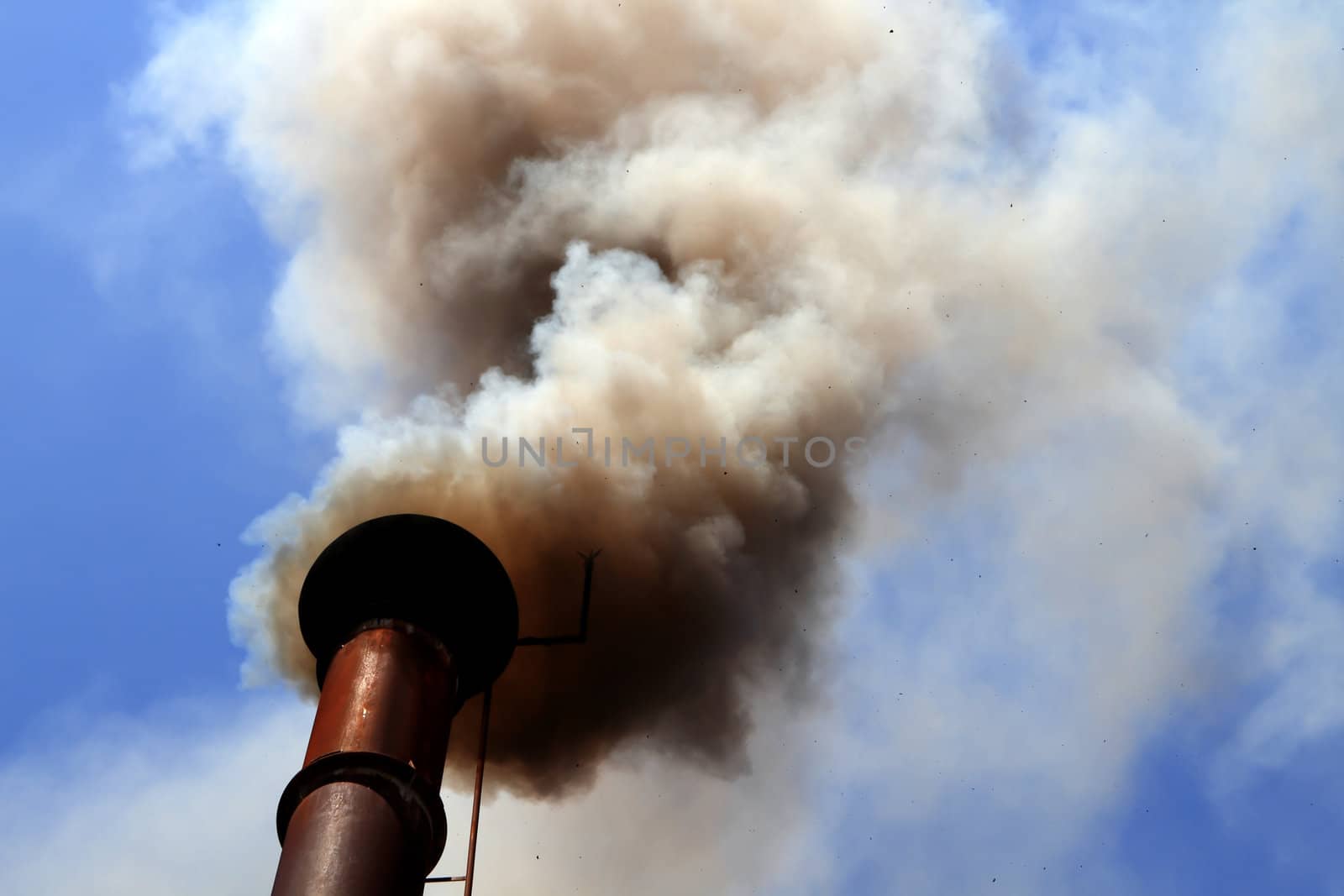 pipe black smoke emission by rufous