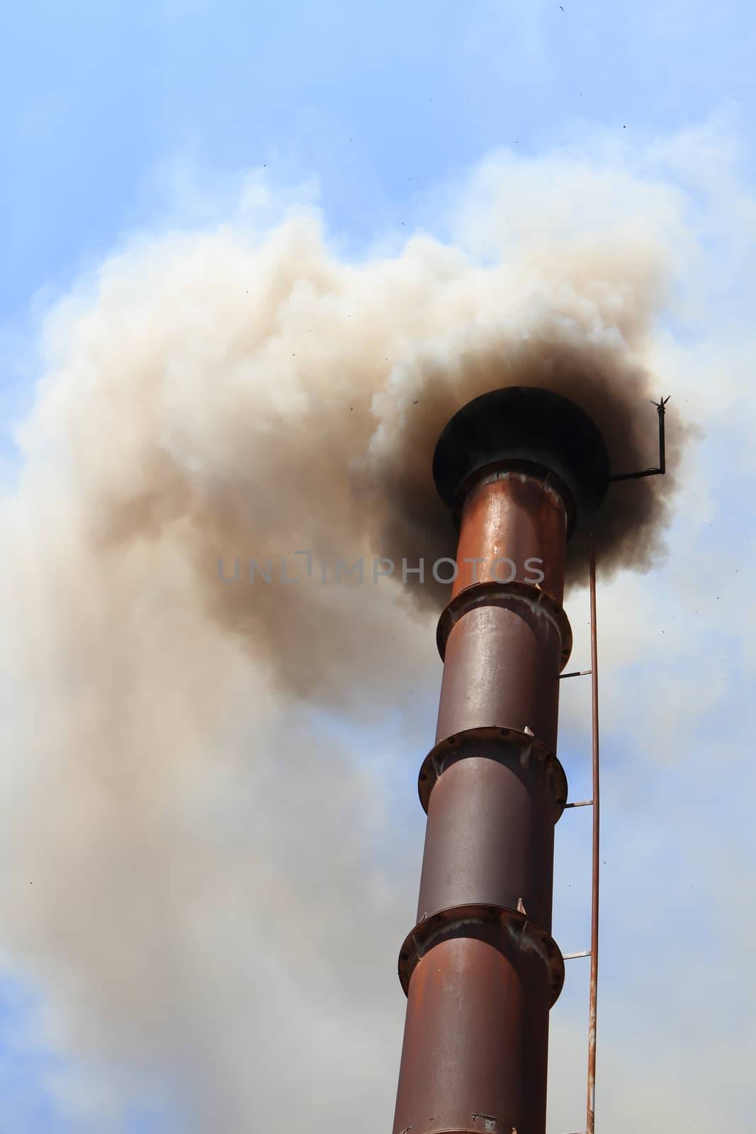 pipe black smoke emission by rufous