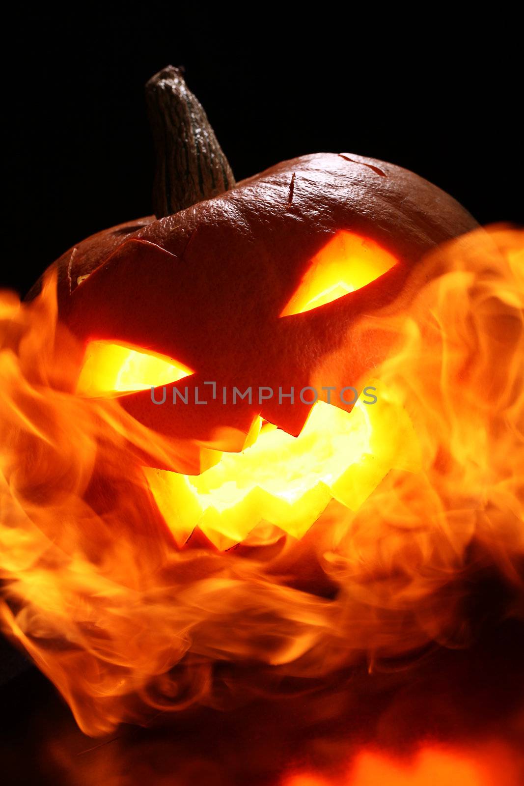 halloween pumpkin in fire over a black background