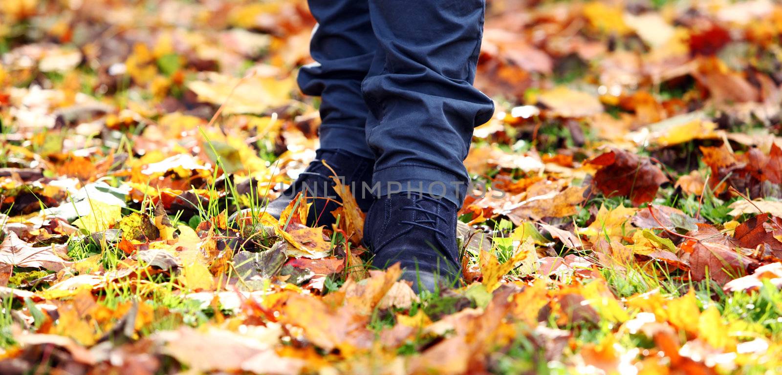 Walking through the autumn leaves, closeup