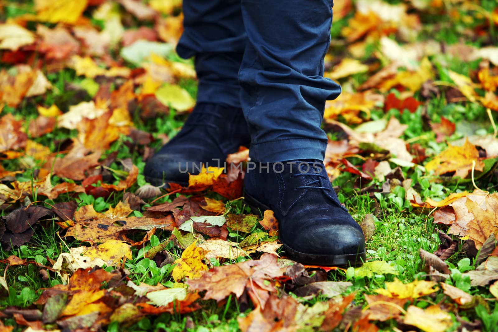Walking through the autumn leaves by rufatjumali
