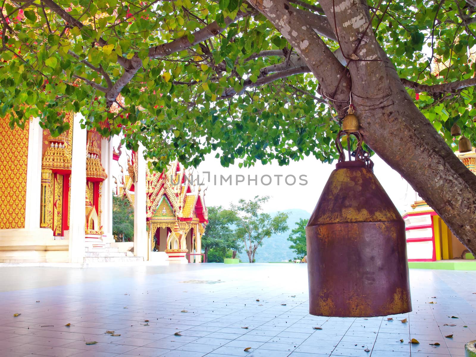 Old brass bell hang on the tree in temple