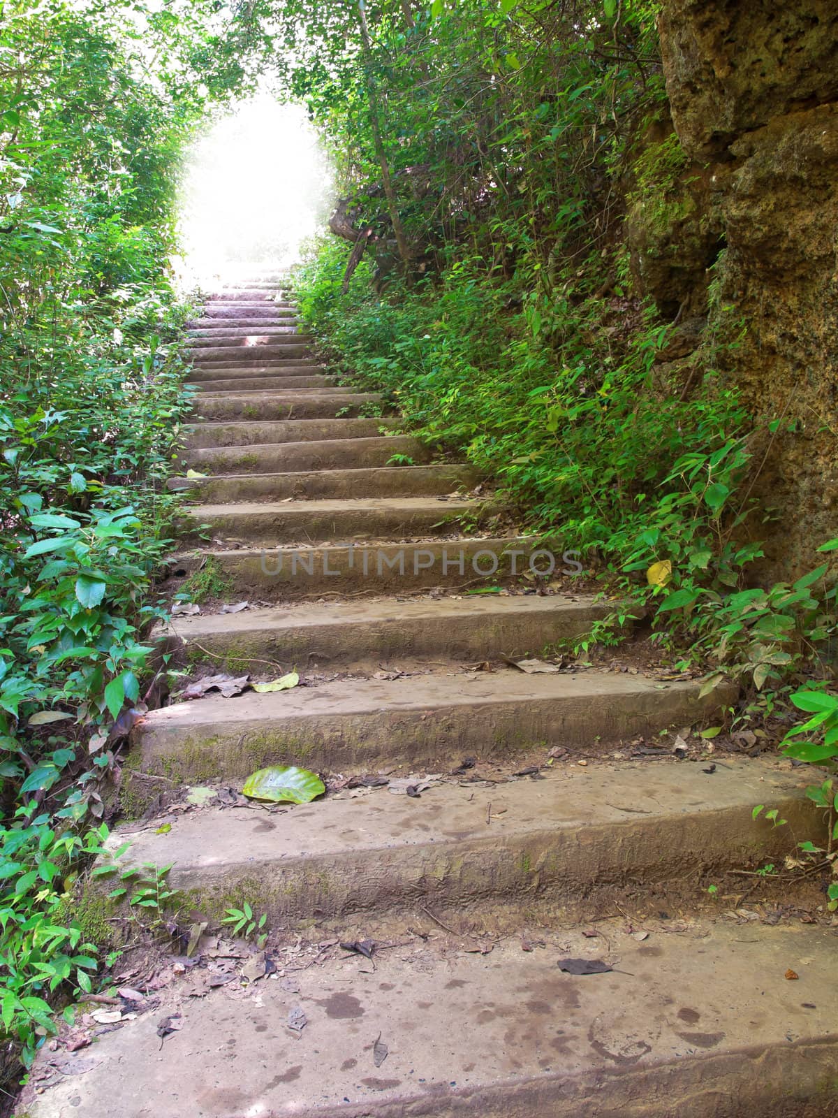 Staircase in deep forest by Exsodus