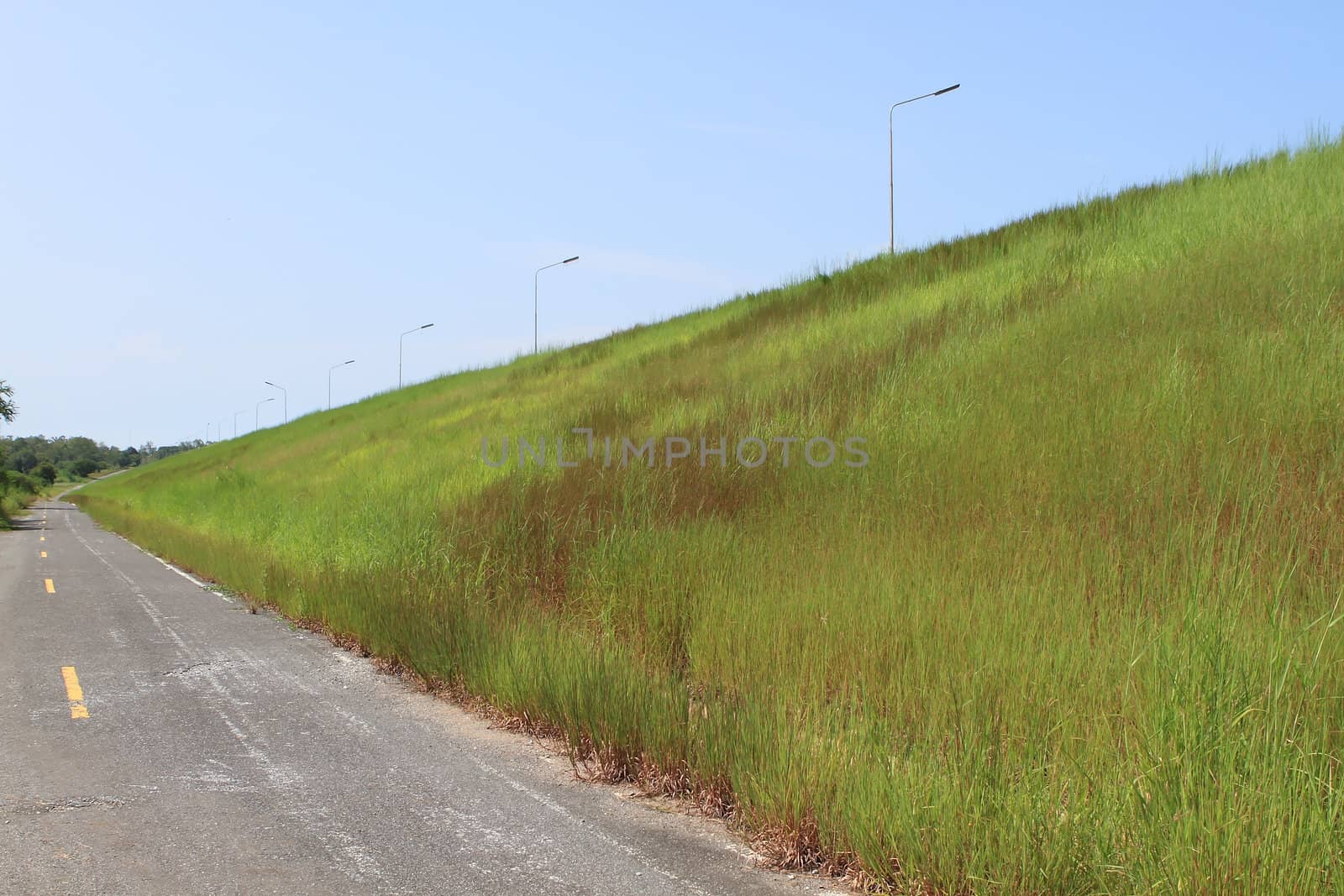 Road to the sky