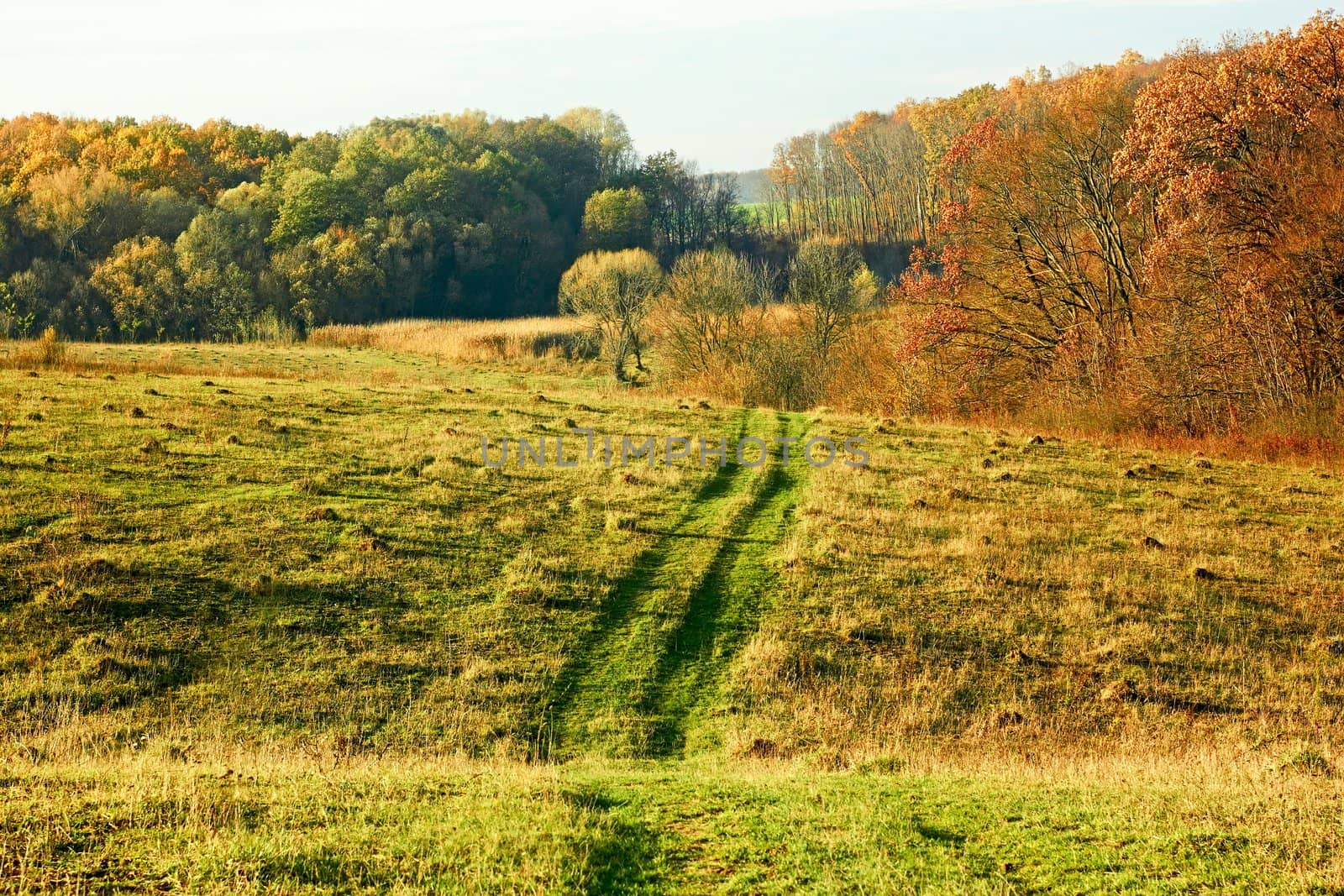 Autumn rural landscape  by qiiip