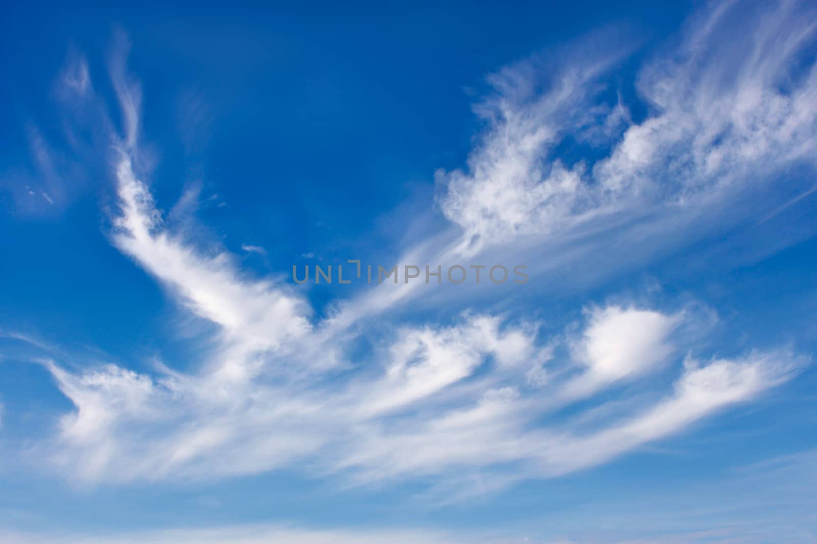 Beautiful sky scenery with different white clouds