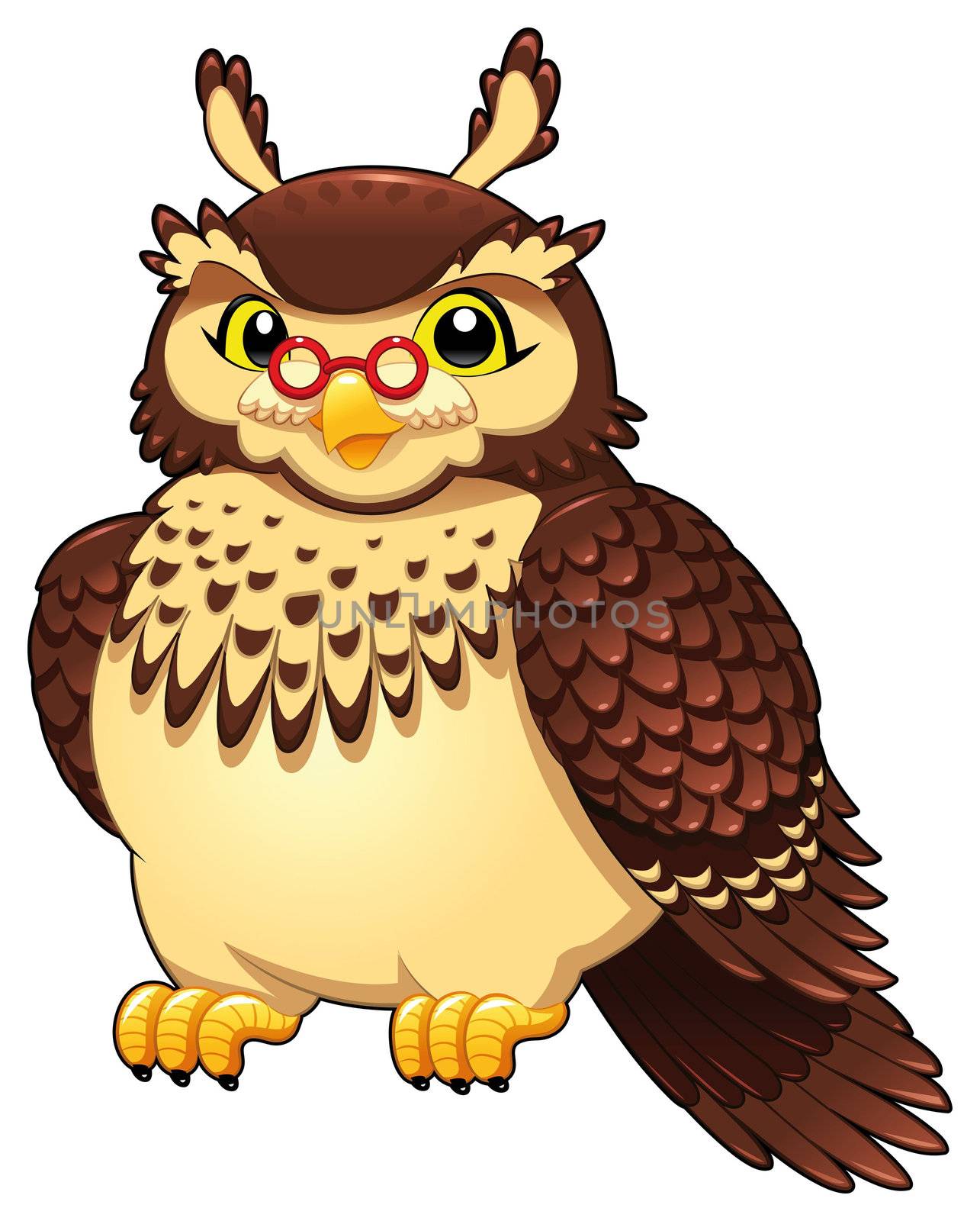 Funny owl. Cartoon and vector isolated character. Funny owl. Cartoon and vector isolated character.

