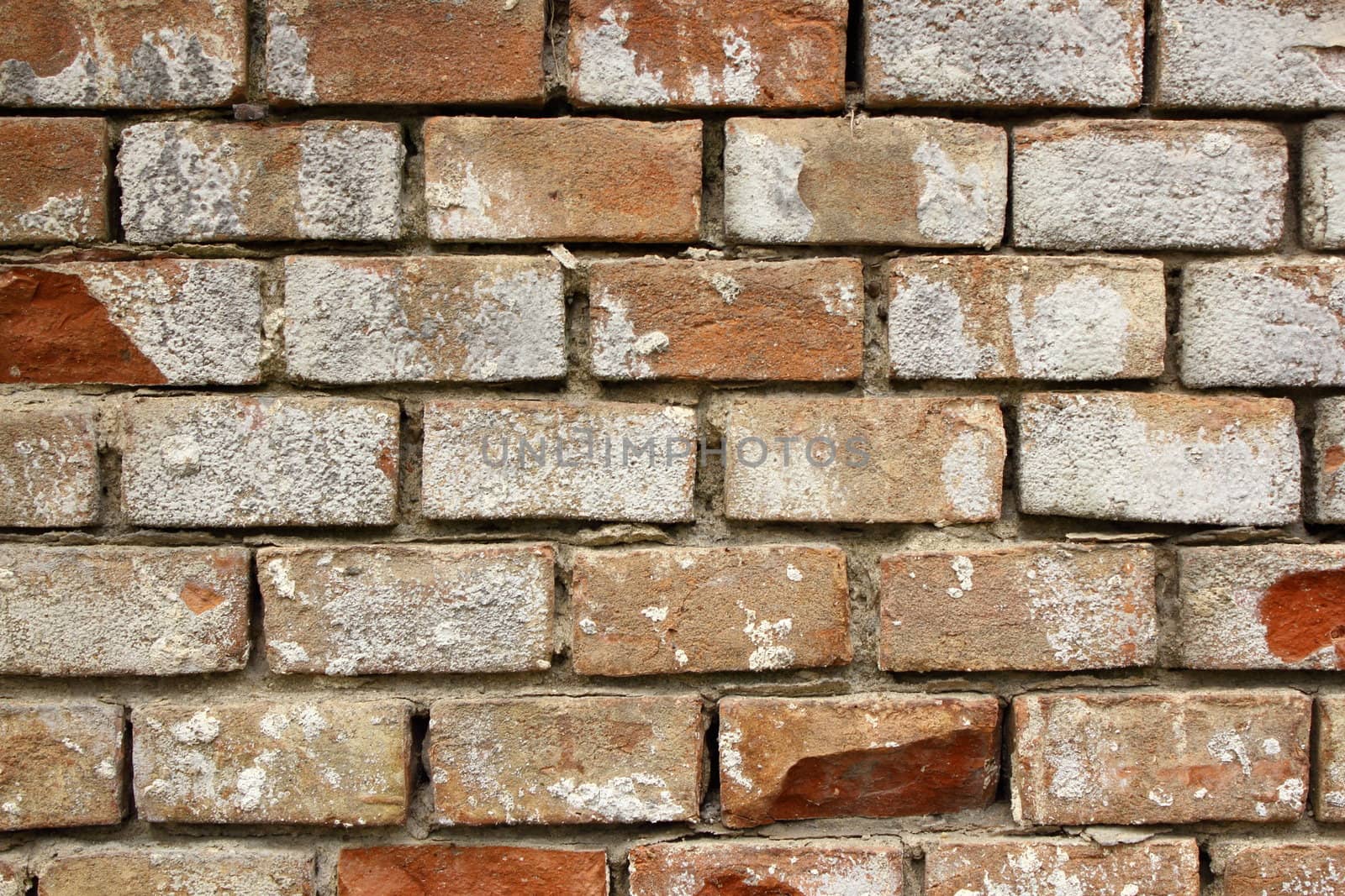 damaged old bricks pattern