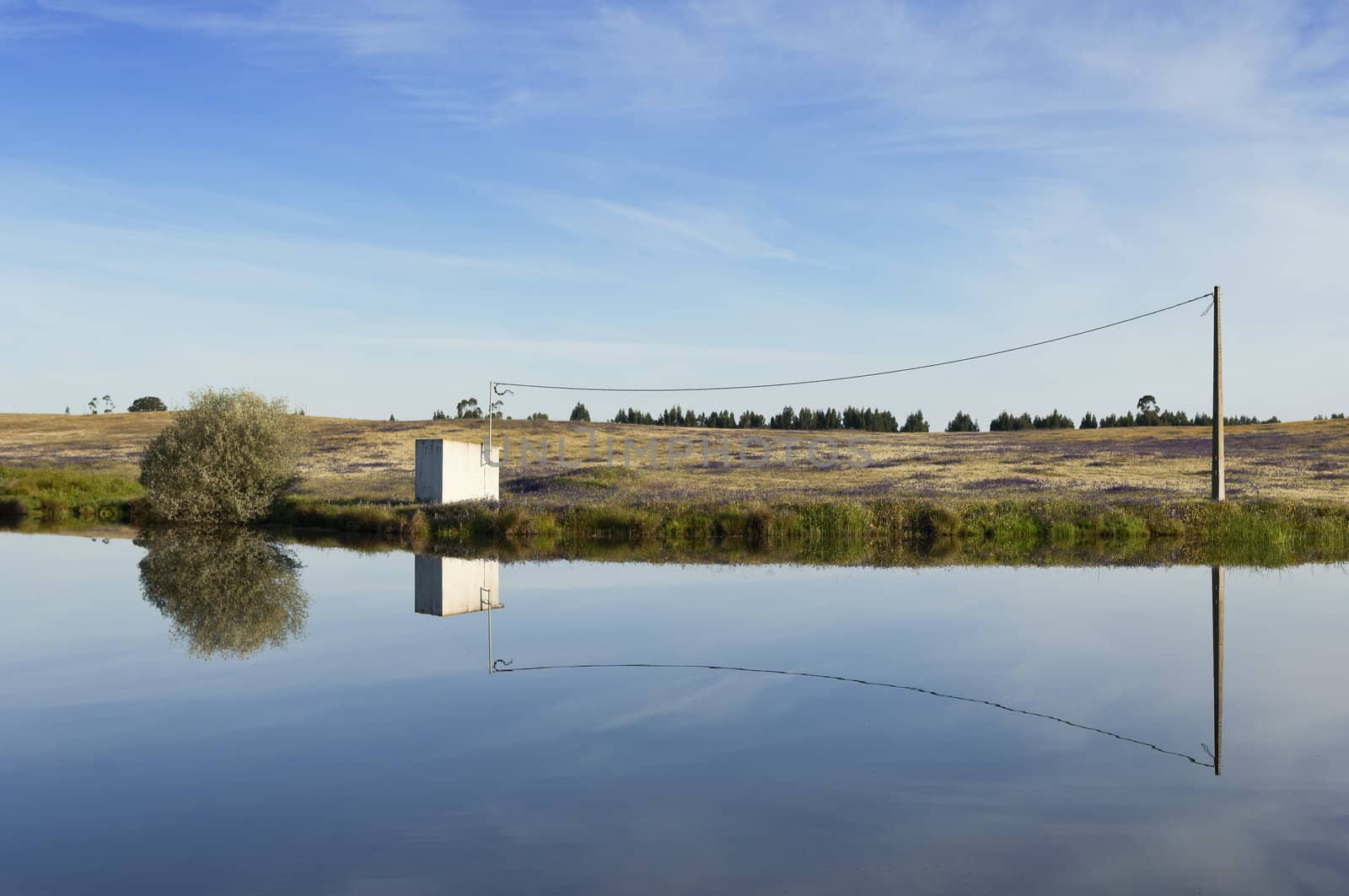 Irrigation pond by mrfotos