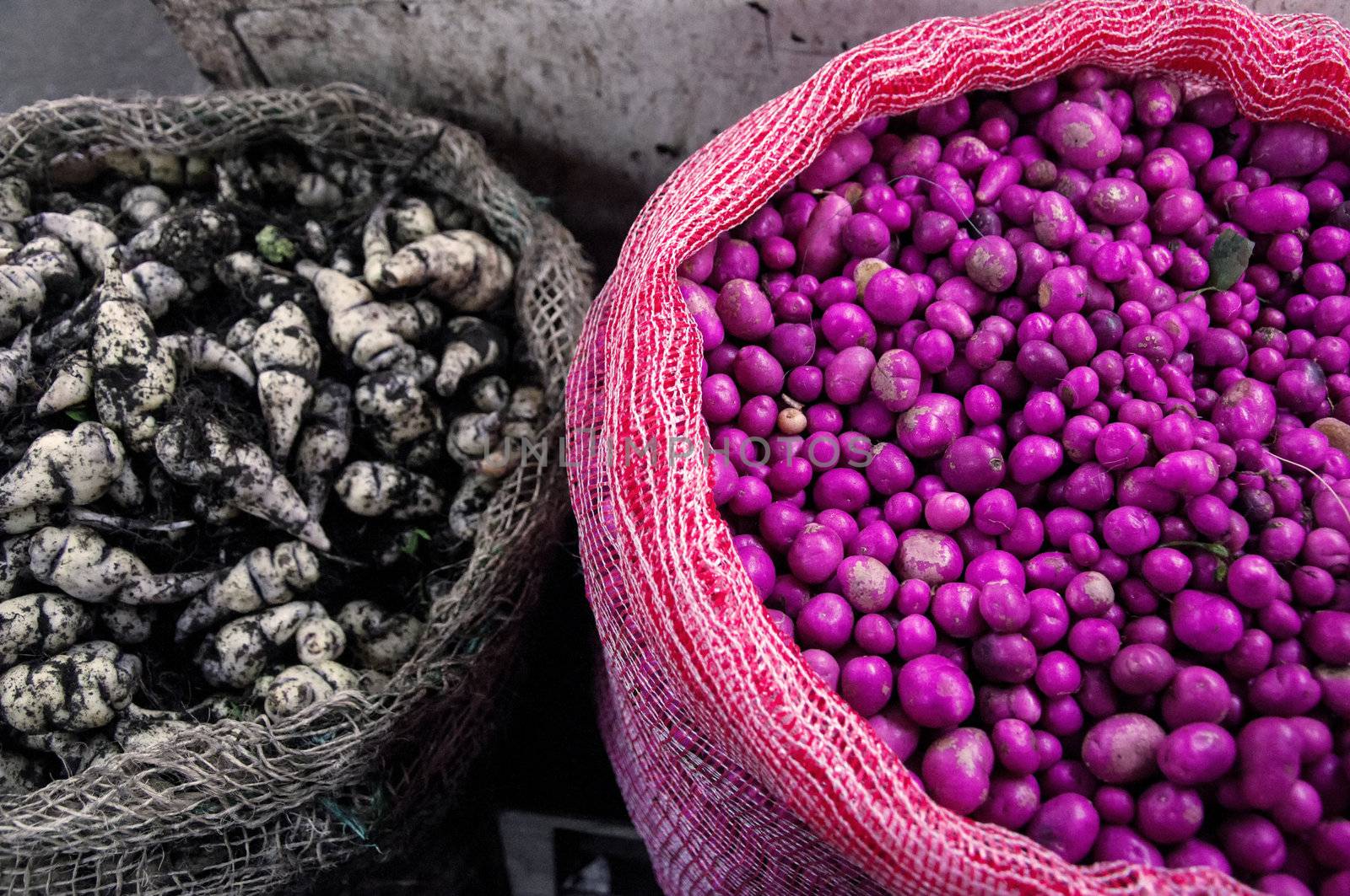 Cubios and chuguas, ingredients in typical Colombian food