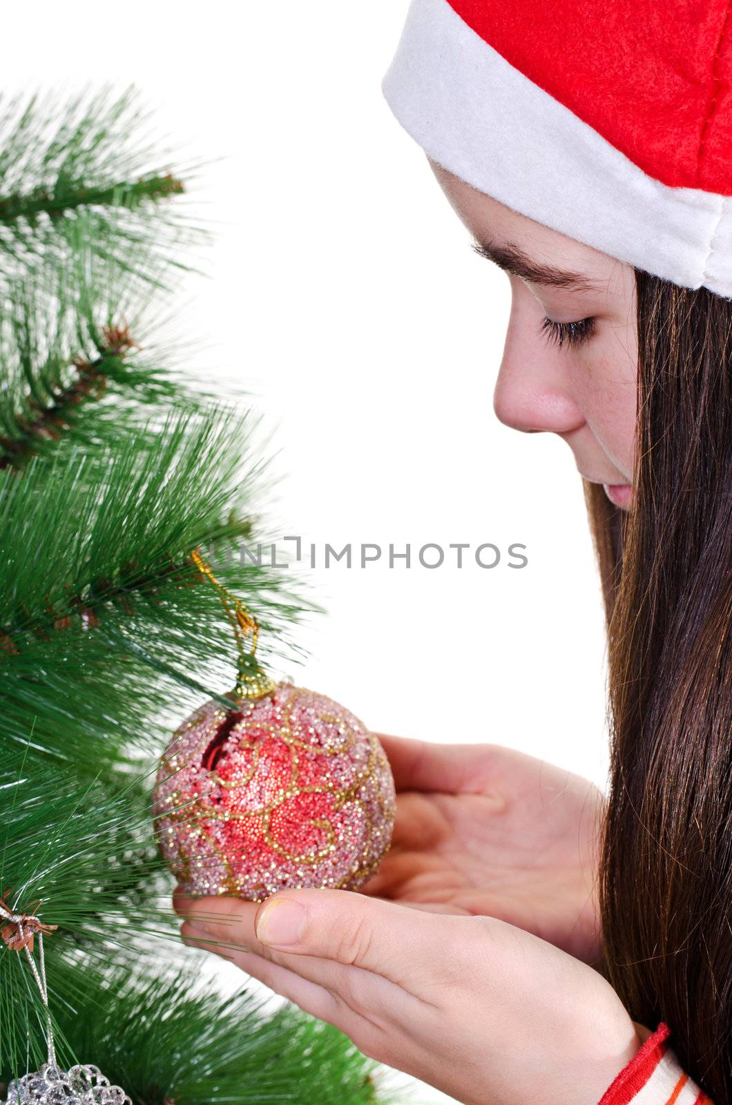 Christmas portrait by milinz