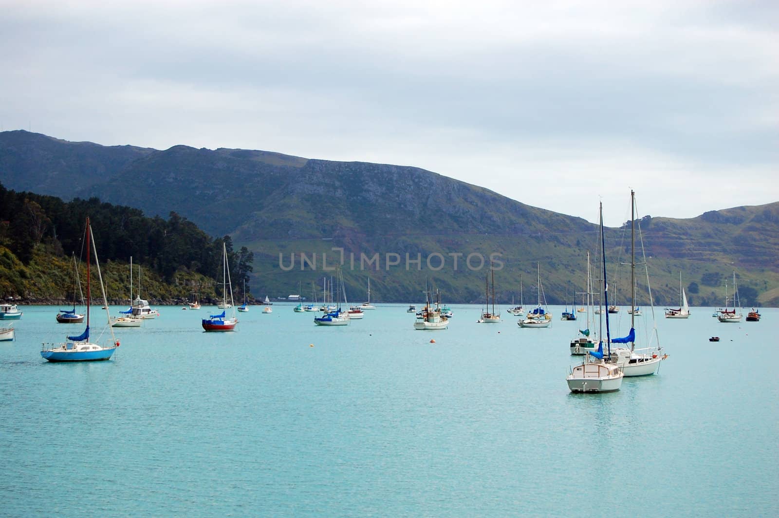 Yachts in bay, Banks Peninsula, New Zealand