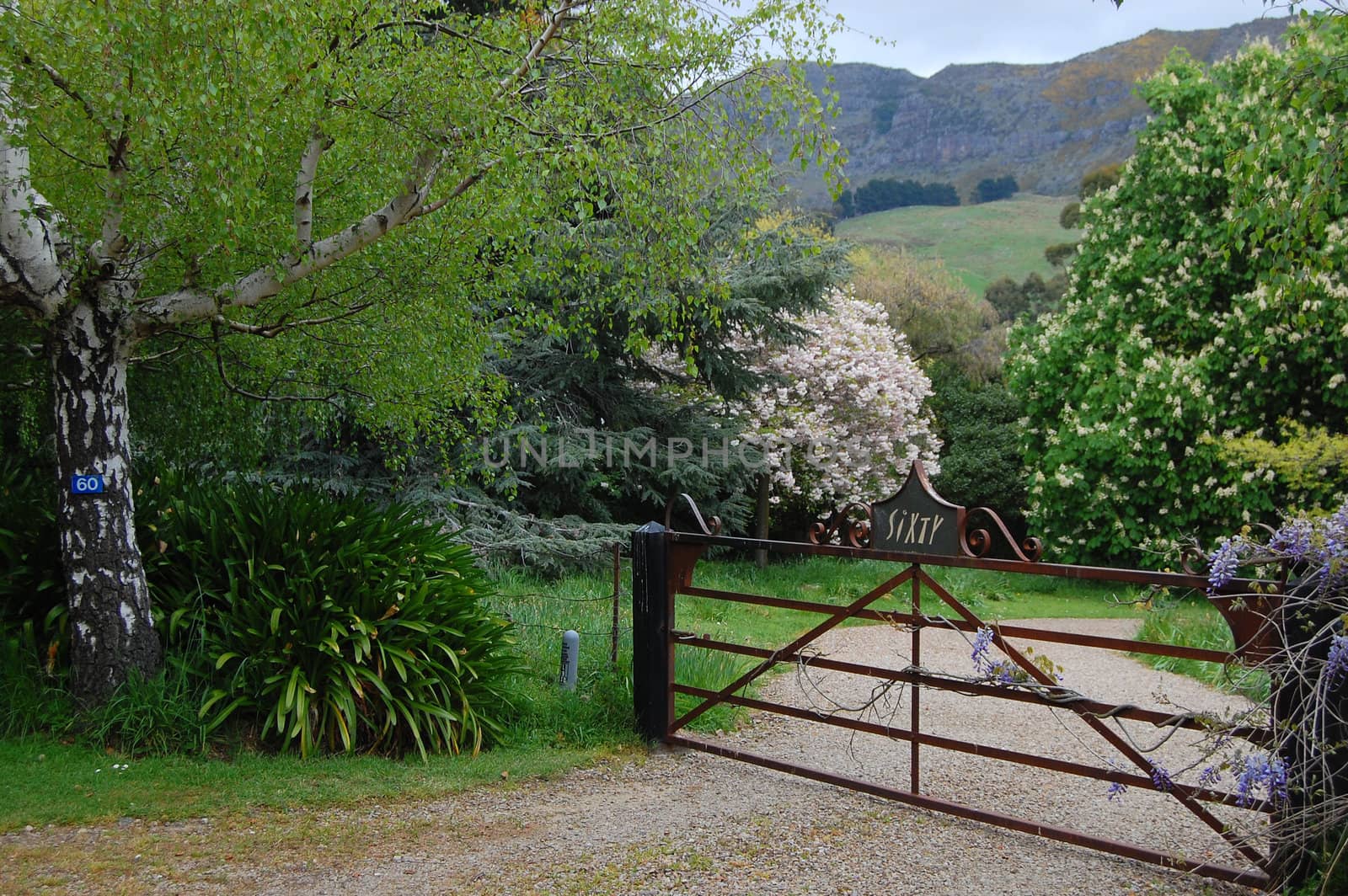 Entrance gate between trees, Banks Peninsula, New Zealand