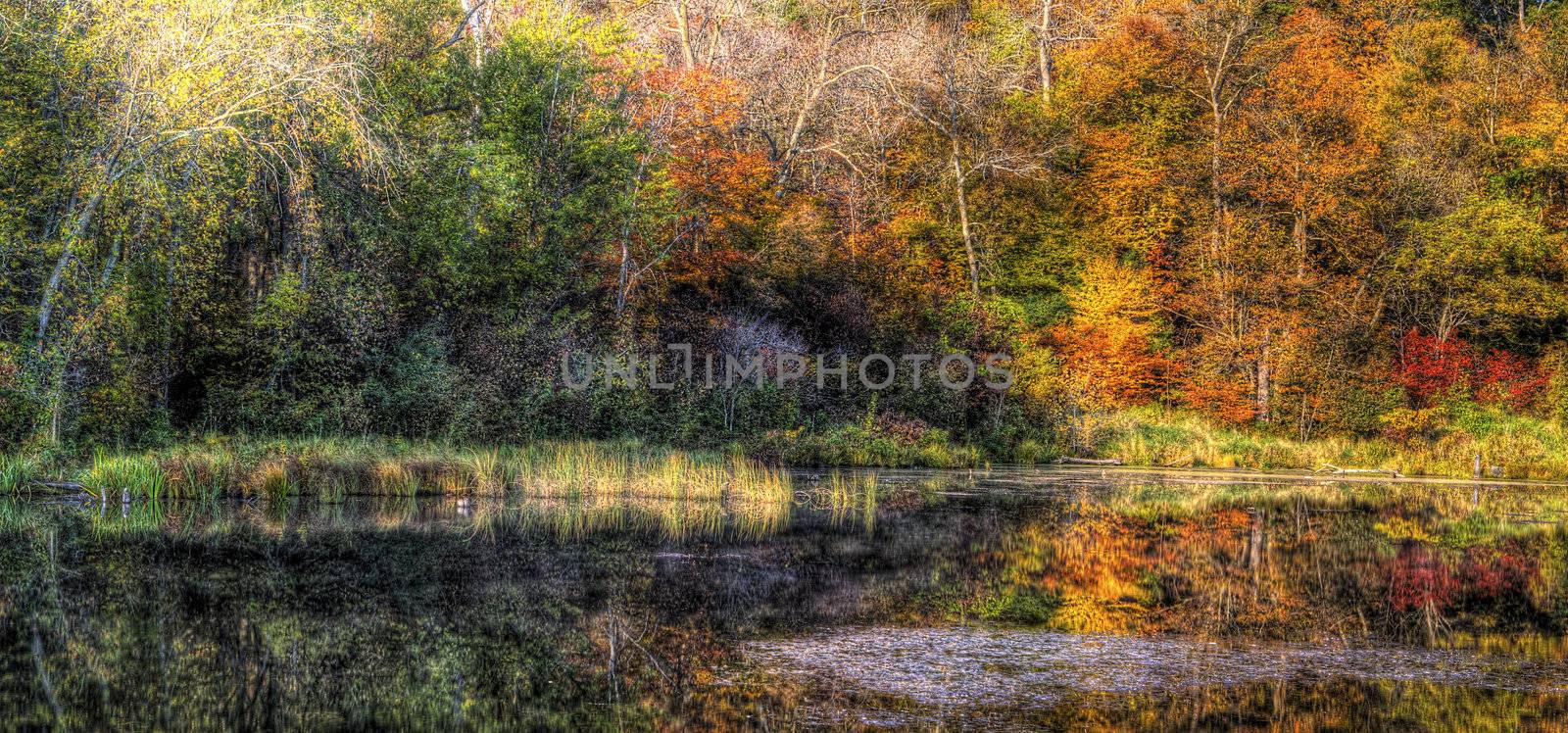 Colorful scenic Landscape in High Dynamic Range.