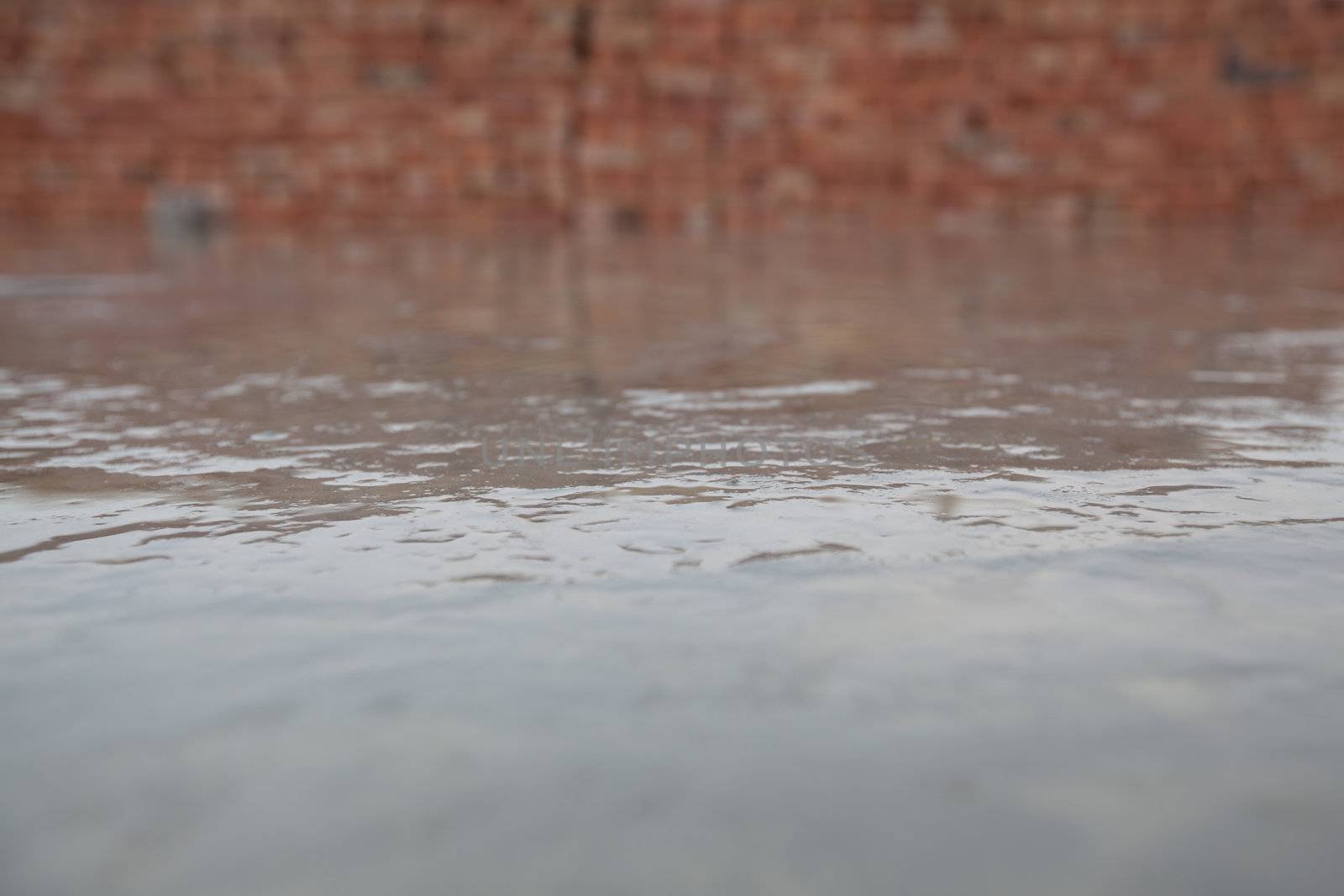 Closeup of a wet concrete. Textured surface