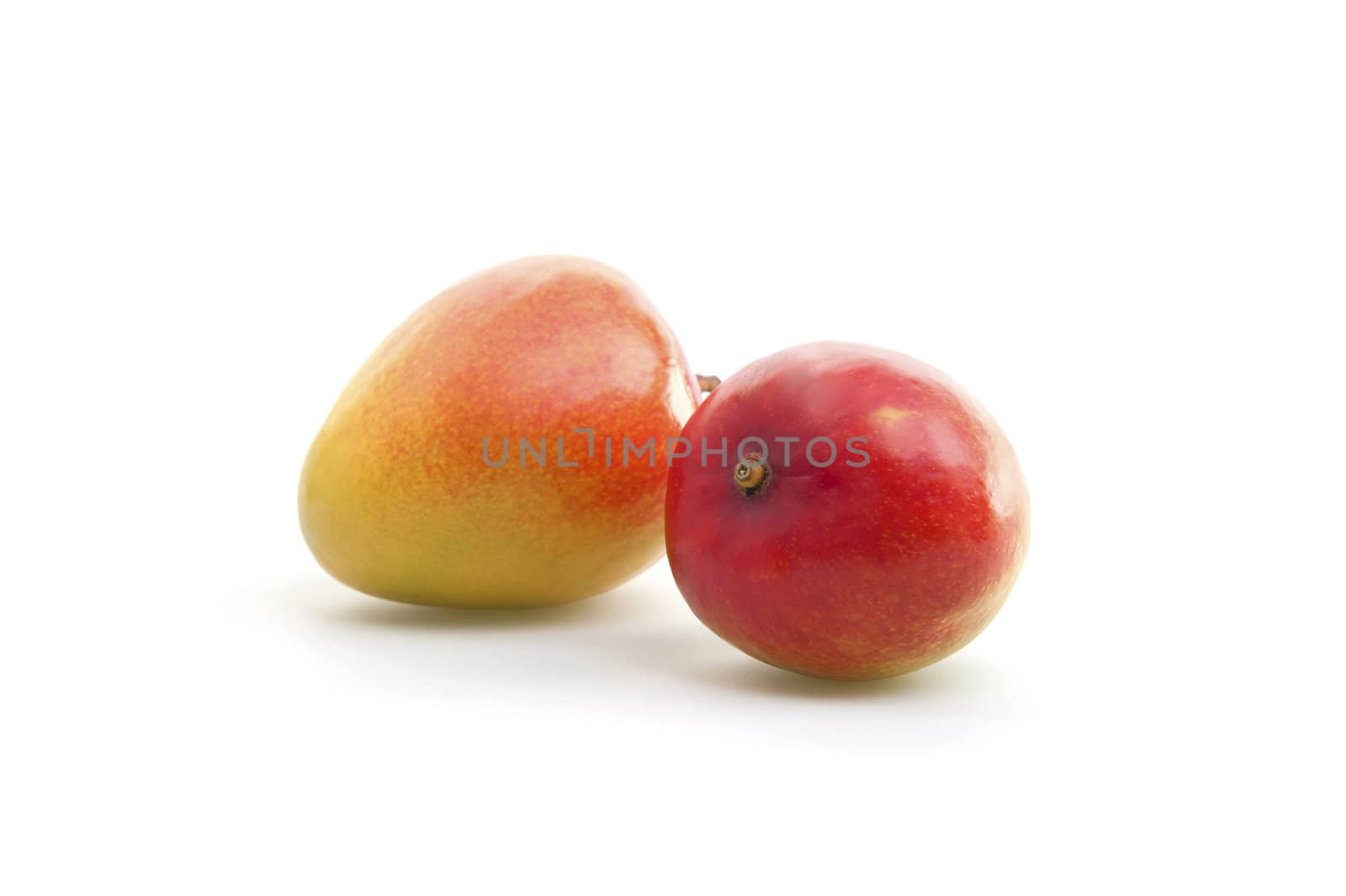 Fresh mangos photographed on a white background.