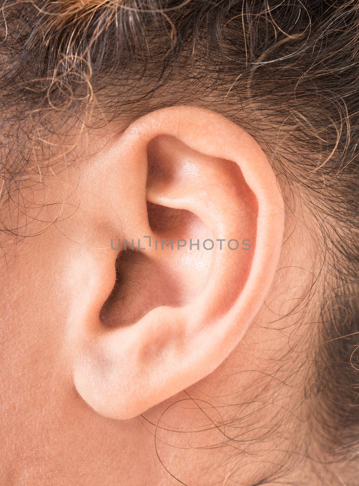 female ear close up