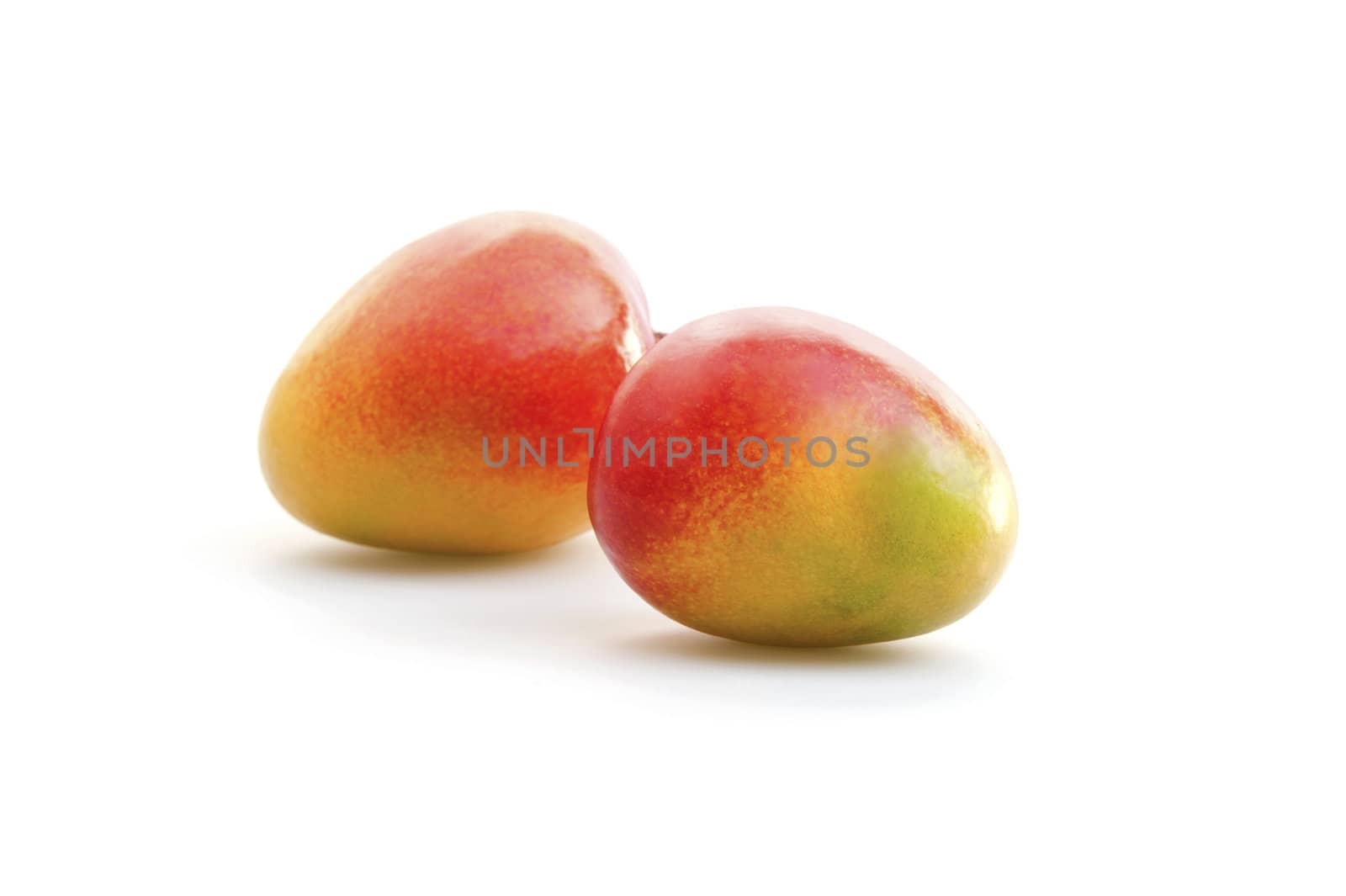 Fresh mangos photographed on a white background.