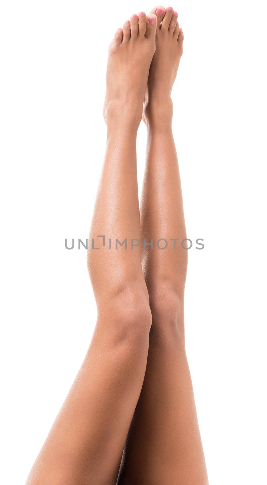 lovely female legs  by Sergieiev