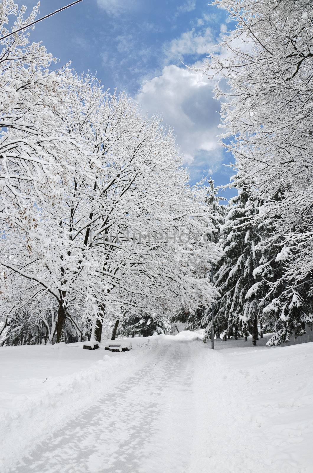 Magic view of Winter Park in luminous faded colors