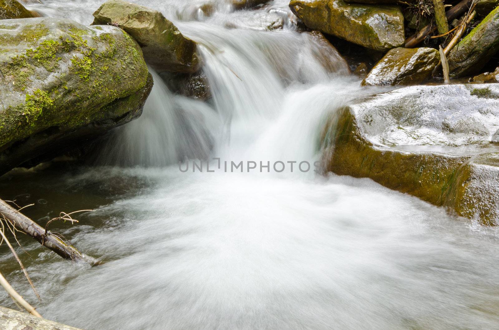 Rapid spring creek in the Carpathian Mountains