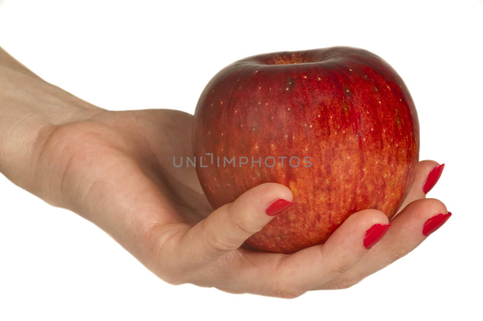 Isolated red apple in hand on white background