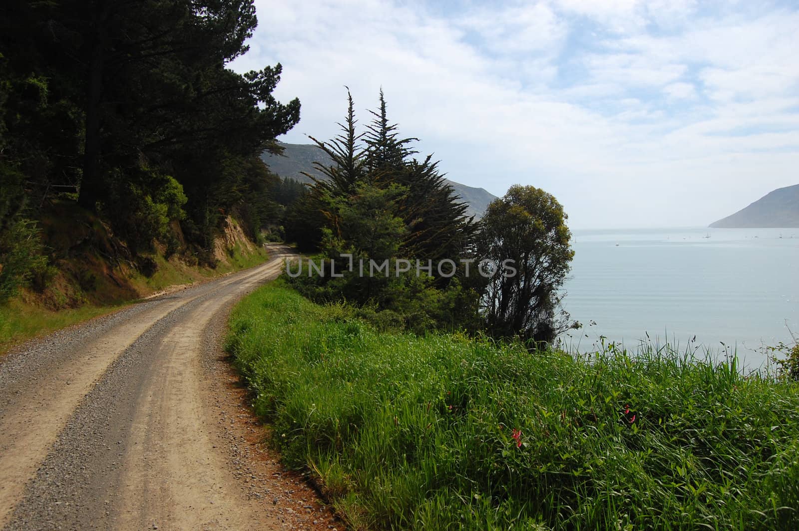 Gravel road along coast, Banks Peninsula, New Zealand