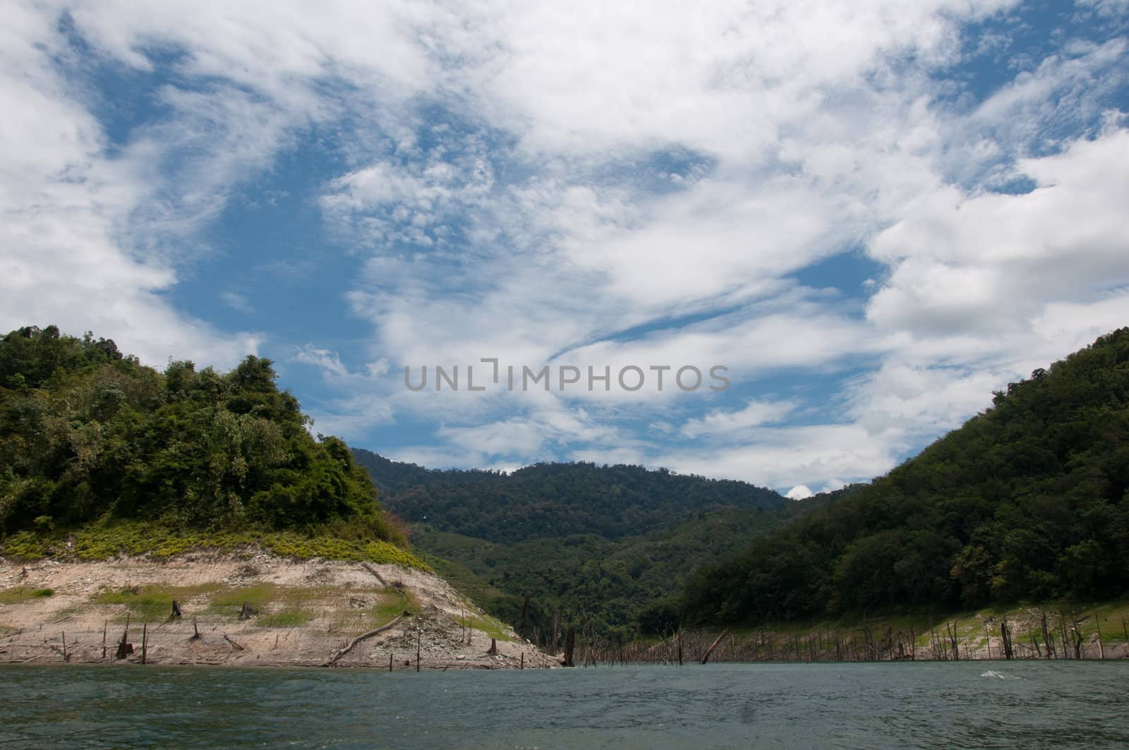 Balahala Forest in yala, thailand - Balahala forest is most perfectly forest in South of Thailand