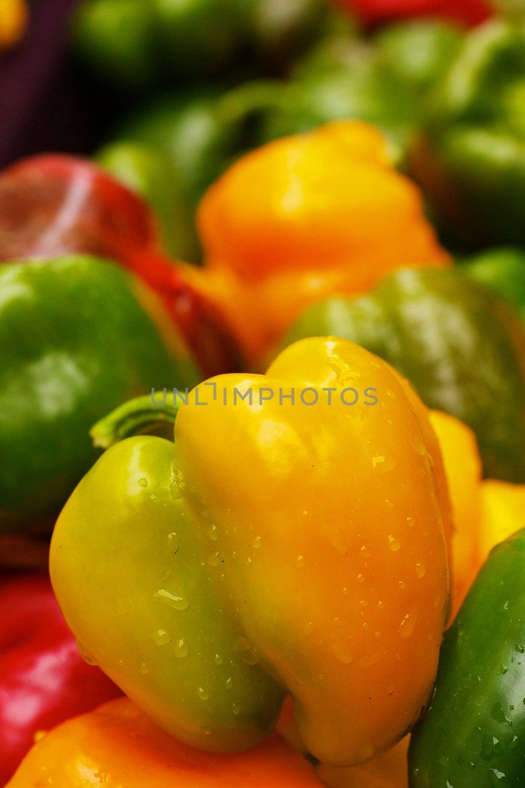 Green and Yellow Bell Peppers by bobkeenan