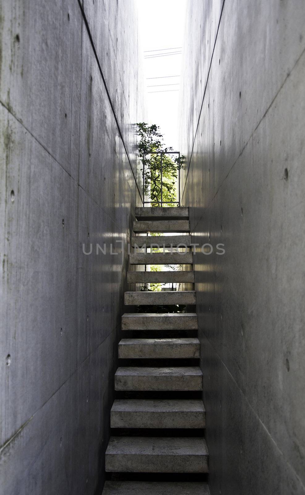 Modern Stairway to the light with bare concrete wall