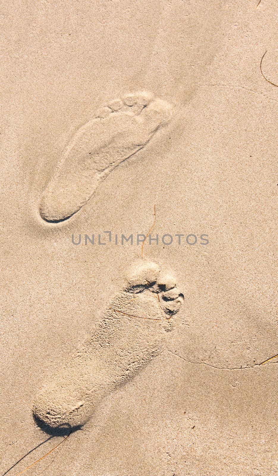 Footprints on the sands of a man.