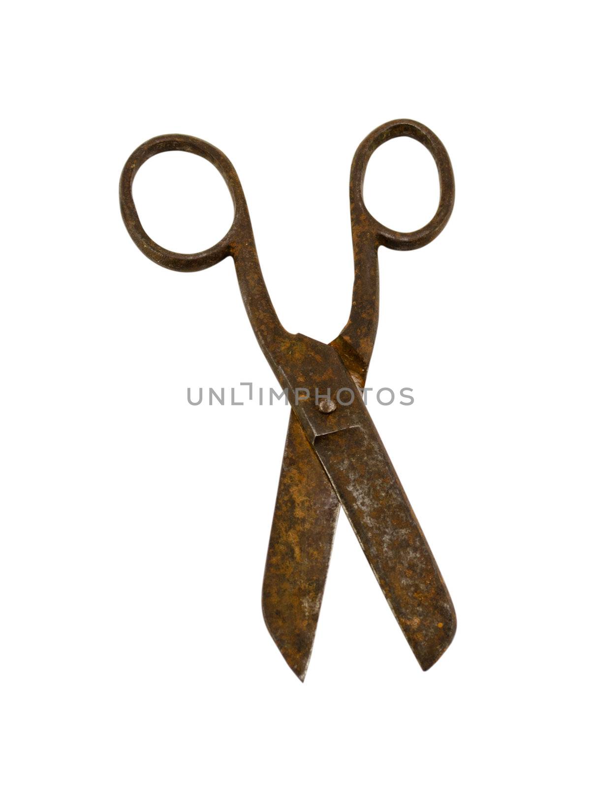 rusty old retro scissors isolated on white background.