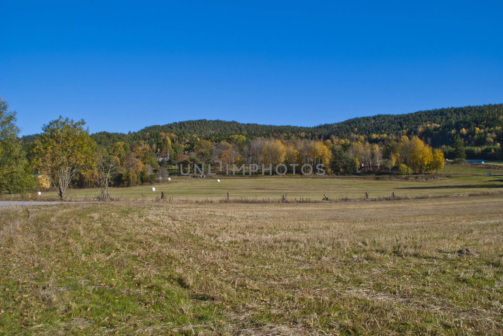 norwegian rural landscape in autumn by steirus