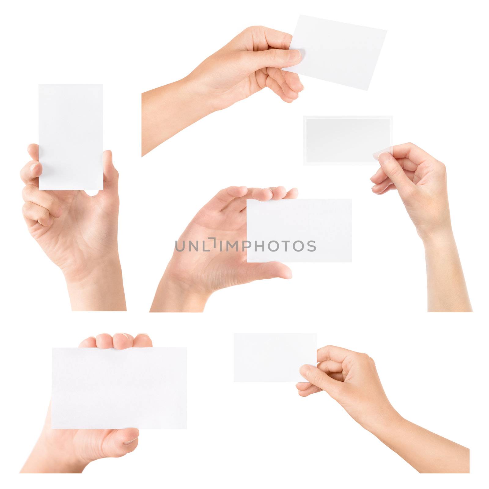 Business card in hand isolated set by bloomua