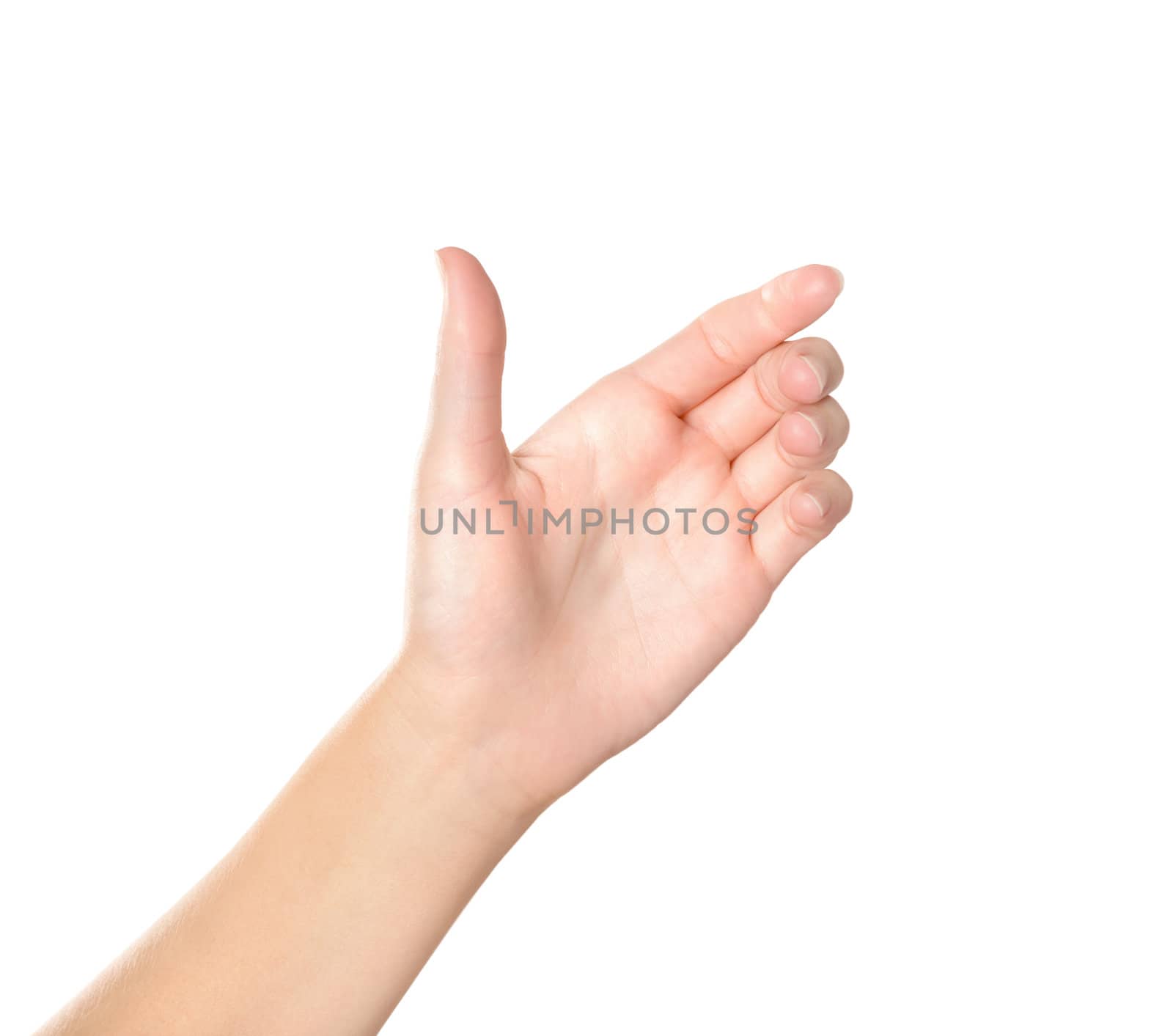 Female hand holding virtual mobile phone gesture. Isolated on white.