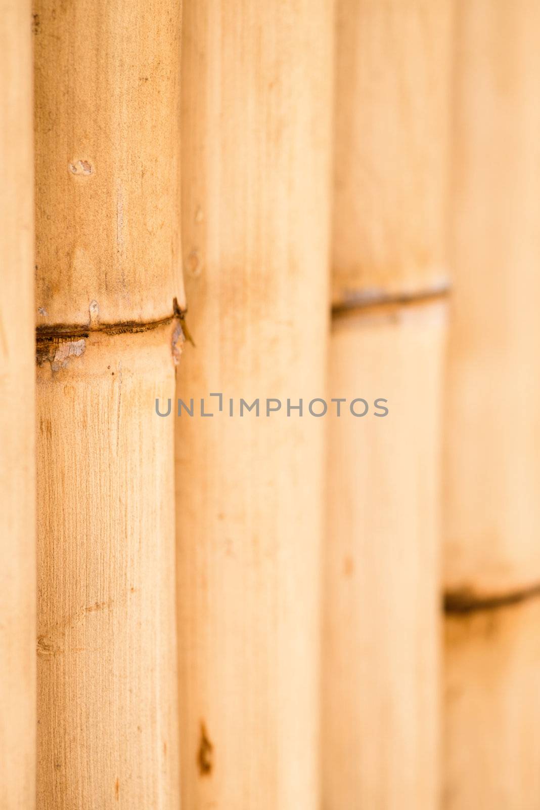 Natural bamboo fence. Shallow depth of field.