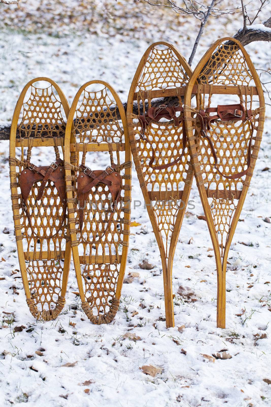 Bear Paw and Huron vintage wooden snowshoes with leather binding