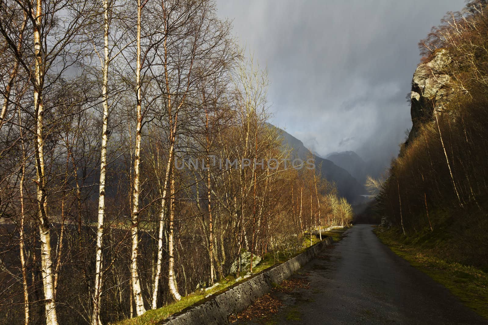 run-down road in rural landscape by gewoldi