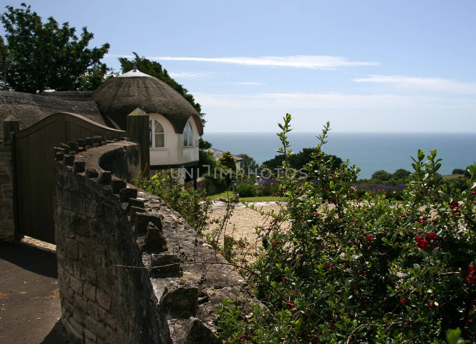 Thatched cottage in Lyme Regis by olliemt