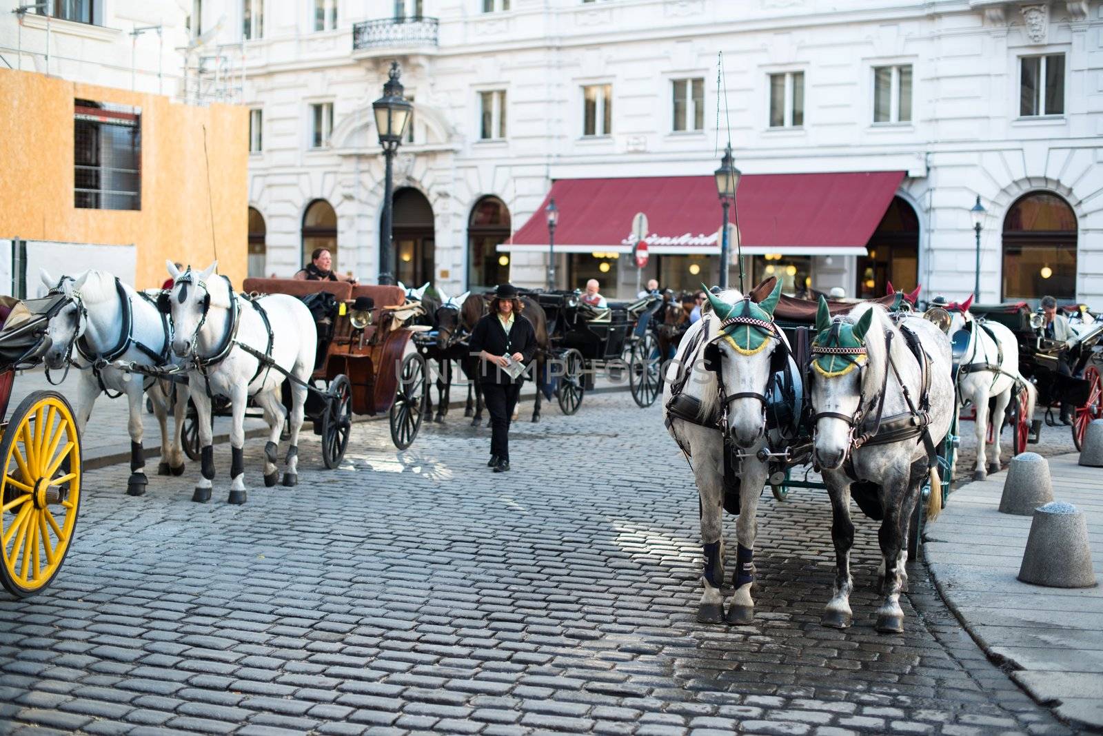 VIENNA - OCTOBER 3: Traditional horses and carriage (also called Fiaker) waiting at the famous Hofburg on October 3, 2012 in Vienna, Austria. The Fiaker rides are a traditional tourist attraction -200 carriages are available each day in this city.