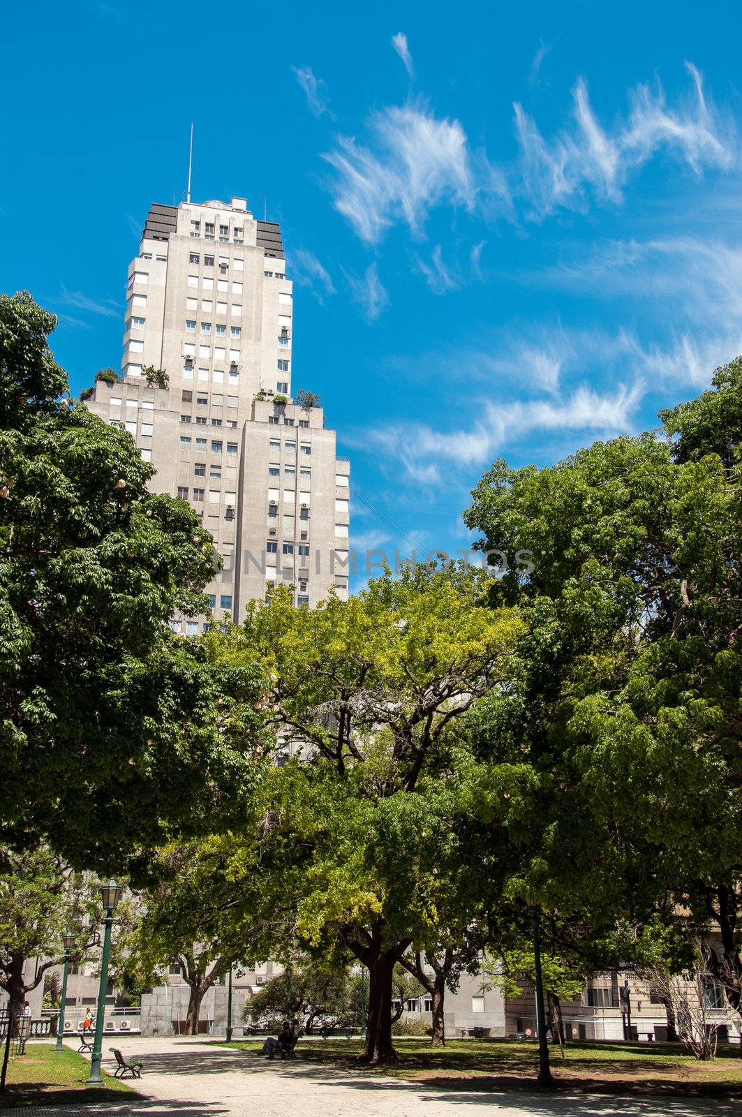 Trees in Plaza San Martin in Buenos Aires