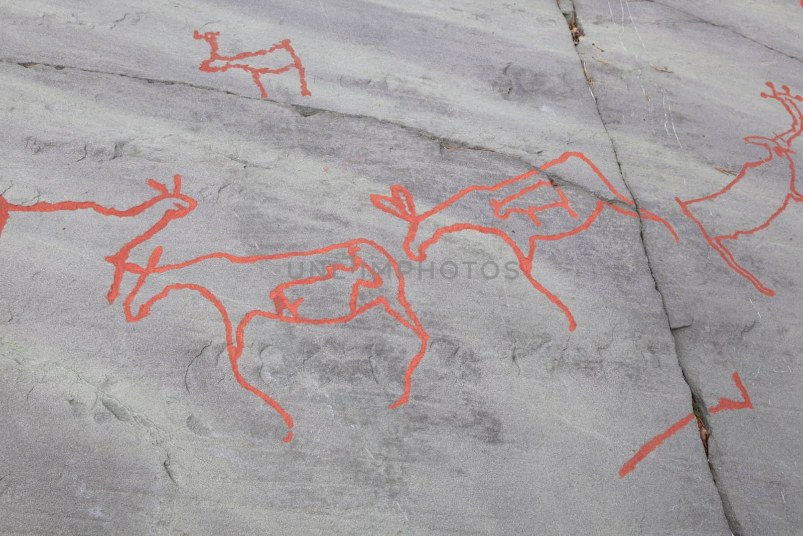 Rock carvings at Alta museum in Alta, Norway. 12 July 2012. Unesco world heritage